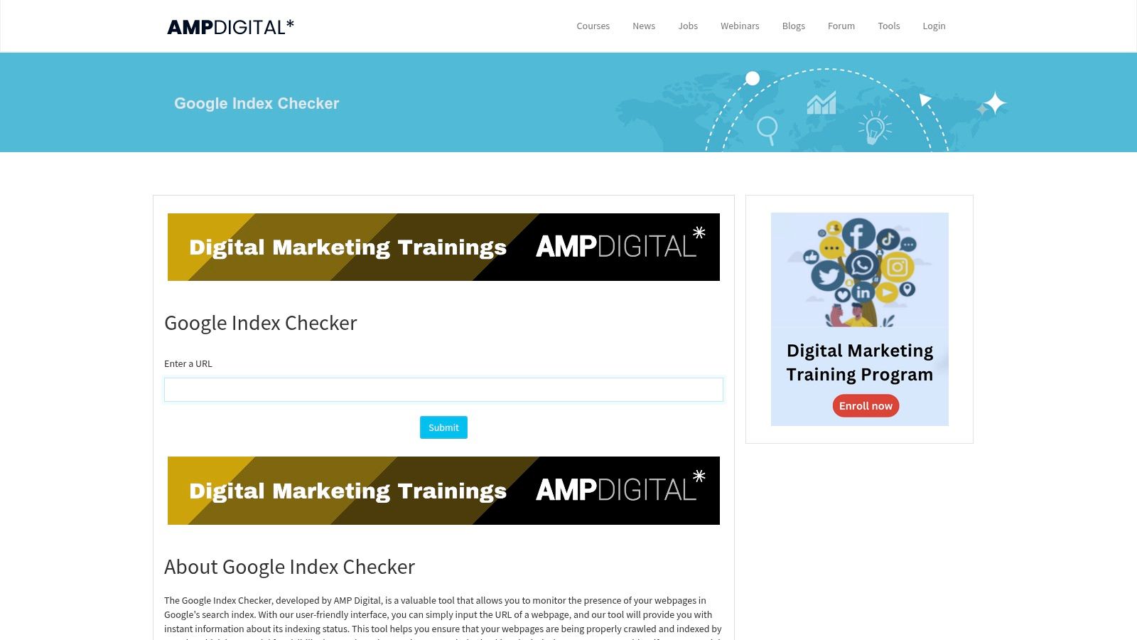 AMP Digital SEO Tools